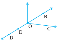 Page 74 Chapter 4 Class 6th Non-Rationalised NCERT 2019-20